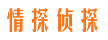 东安婚外情调查